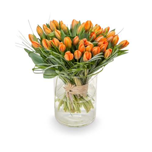 Kytice  tulipánů